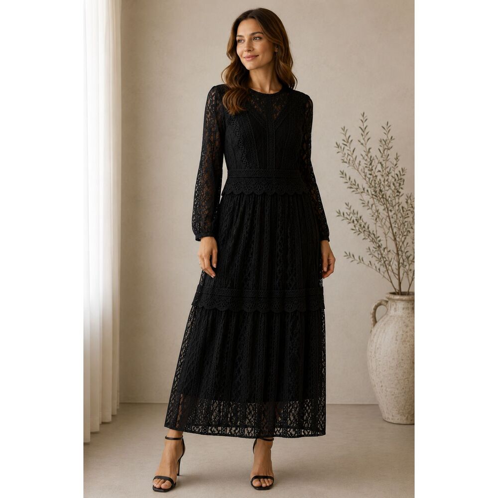 NWT Johnny Was Biya Luna Lace Maxi Dress Black Sheer Long Sleeve Women Small